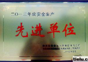 鄭州鐵路經濟開發集團鄭宜蘭公司喜獲“2013年度安全生產先進單位”榮譽稱號